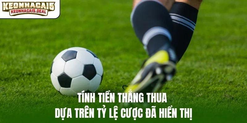 Tính tiền thắng thua dựa trên tỷ lệ cược đã hiển thị
